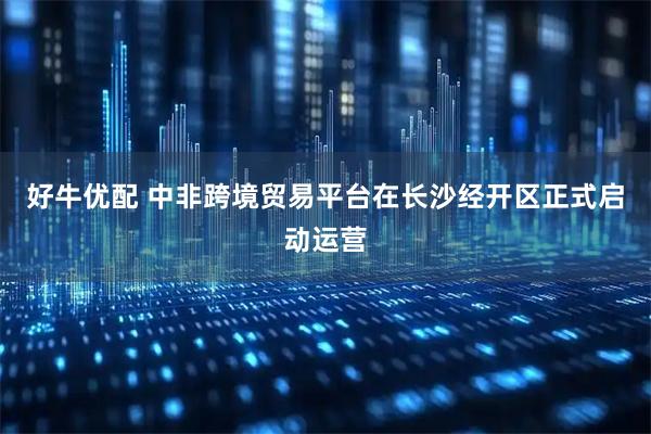 好牛优配 中非跨境贸易平台在长沙经开区正式启动运营