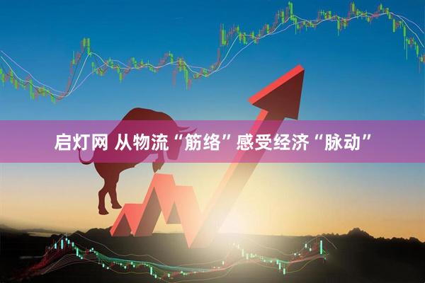 启灯网 从物流“筋络”感受经济“脉动”
