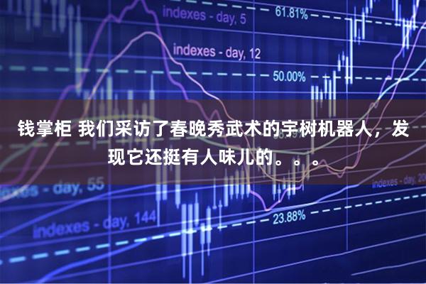 钱掌柜 我们采访了春晚秀武术的宇树机器人，发现它还挺有人味儿的。。。